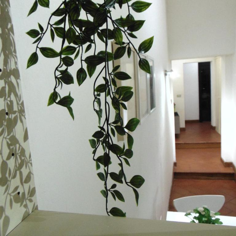 Santa Croce Exclusive - Appartamento Standard - 14