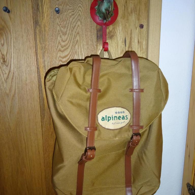 Alpineas - Studio - 3