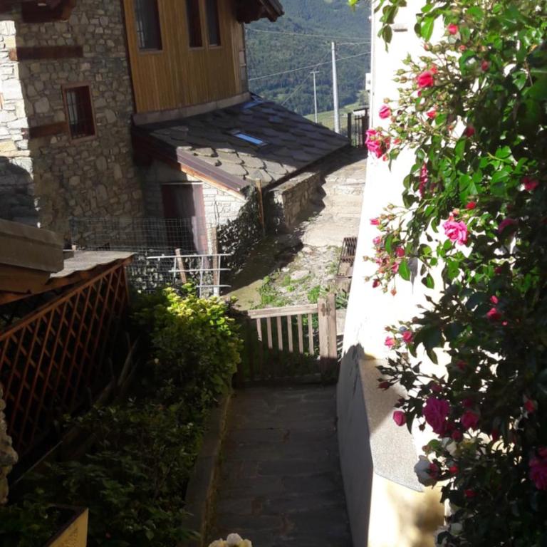 Clou Accomodation - Appartamento Monolocale - 3