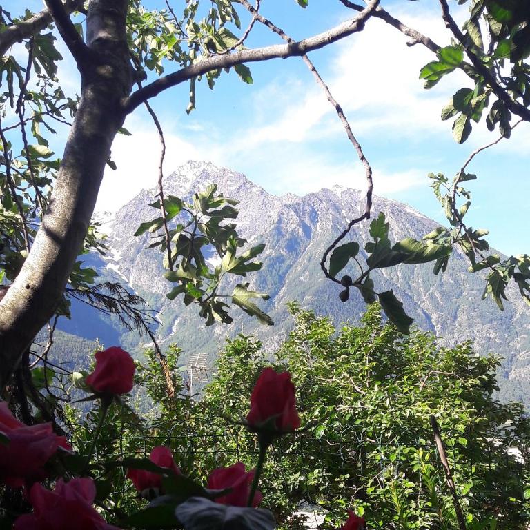 Clou Accomodation - Appartamento Monolocale - 10