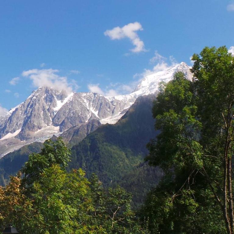 Spacious and stylish flat at the foot of the Mont-Blanc ideal for ski in ski out - Appartement - 1