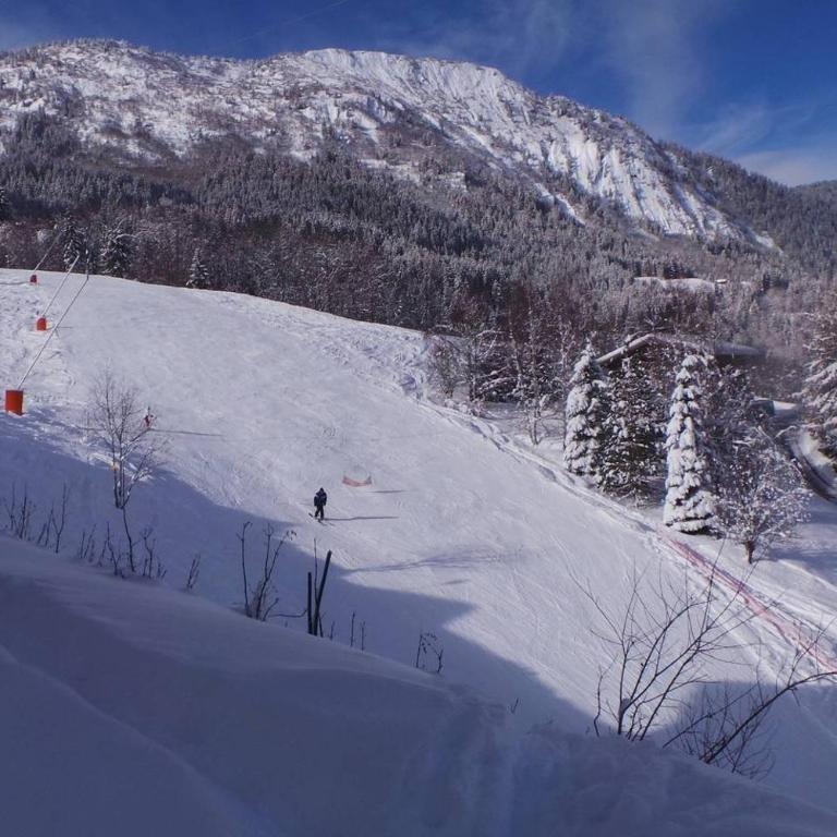 Spacious and stylish flat at the foot of the Mont-Blanc ideal for ski in ski out - Appartement - 25