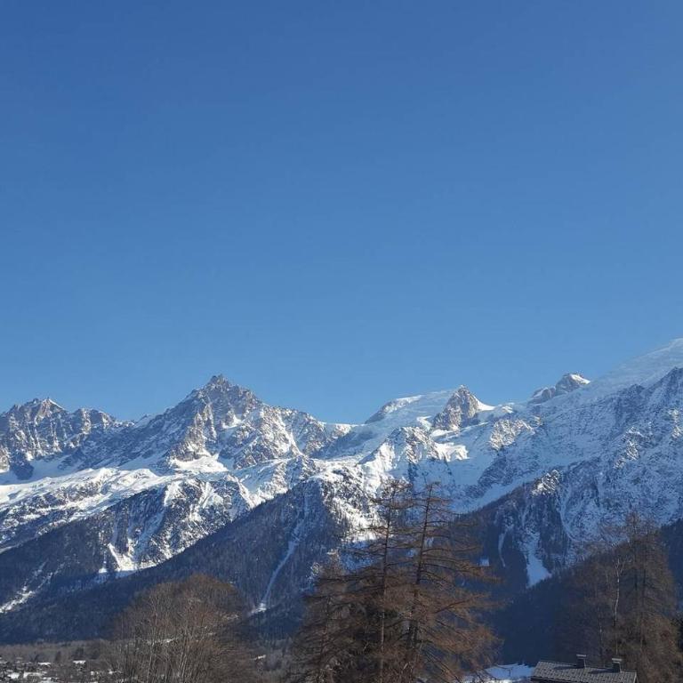 Spacious and stylish flat at the foot of the Mont-Blanc ideal for ski in ski out - Appartement - 22