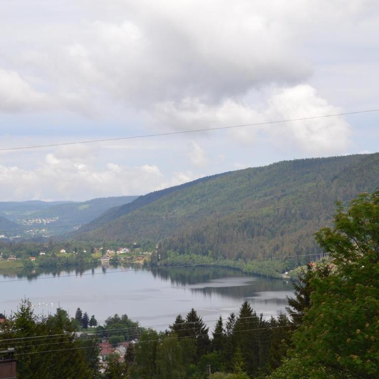 Les Loges du Lac - Appartement avec Terrasse - Appartement - Vue sur Lac - 8