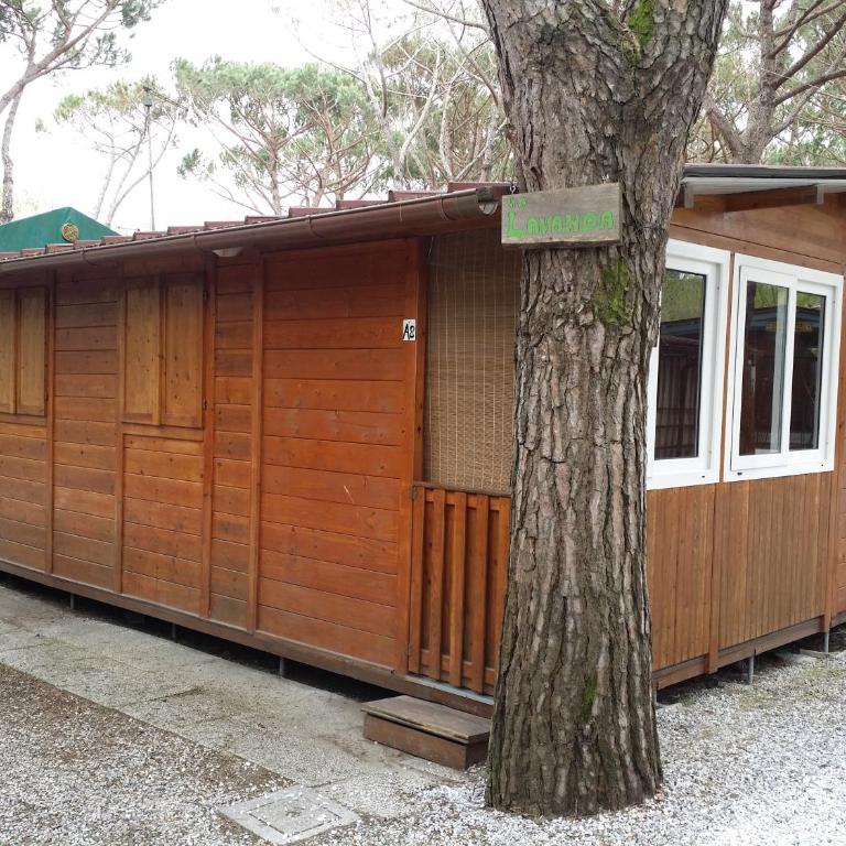Camping Dal Pino - Bungalow Familiare - 5