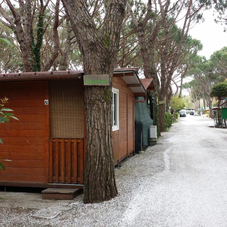 Camping Dal Pino - Bungalow Familiare - 4