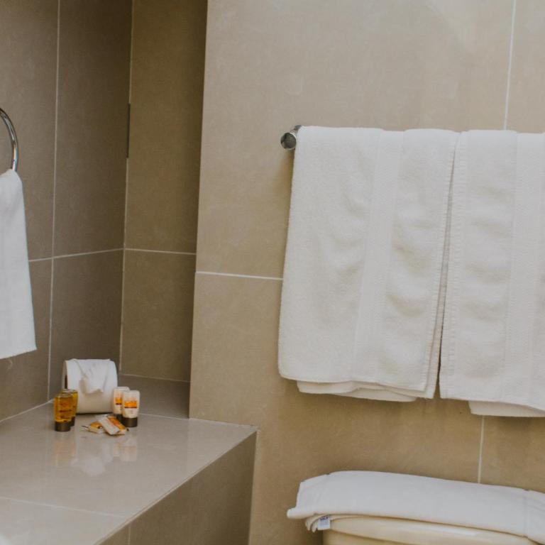 Hotel Ambassador Mérida - Habitación Doble - 13