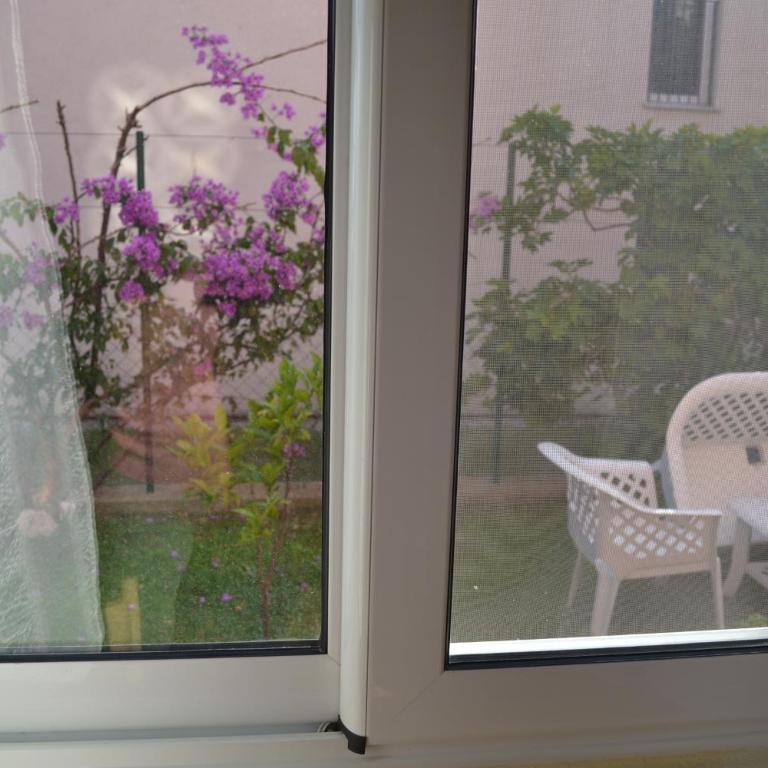 Apartments Milosevic - Studio with Garden View - 14