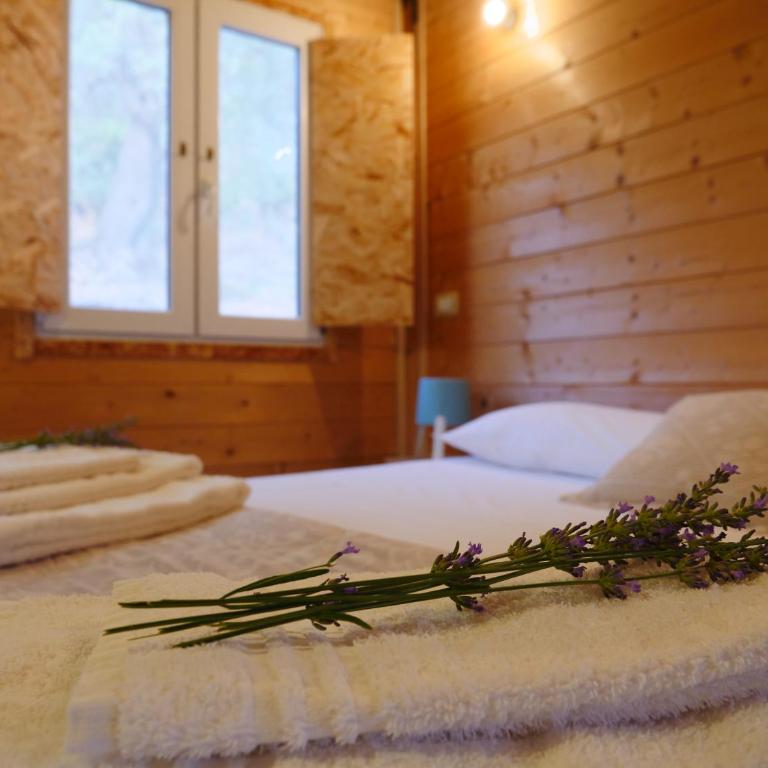 Camping Fiori di Noto - Appartamento con 2 Camere da Letto - 4