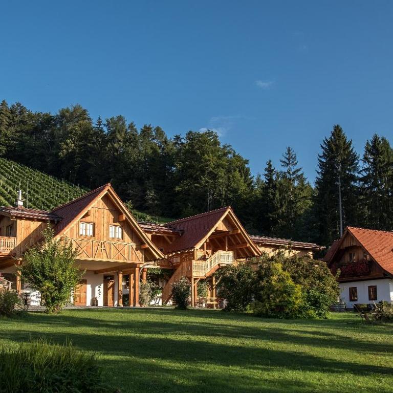 Weinhof Klug-Krainer - Appartement - 1