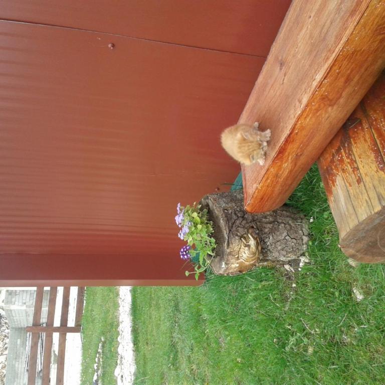 Boskovica Brvnare - Three-Bedroom Chalet - 36