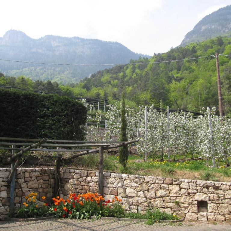 Schloss-Hof - Appartamento con Vista Montagna - 14