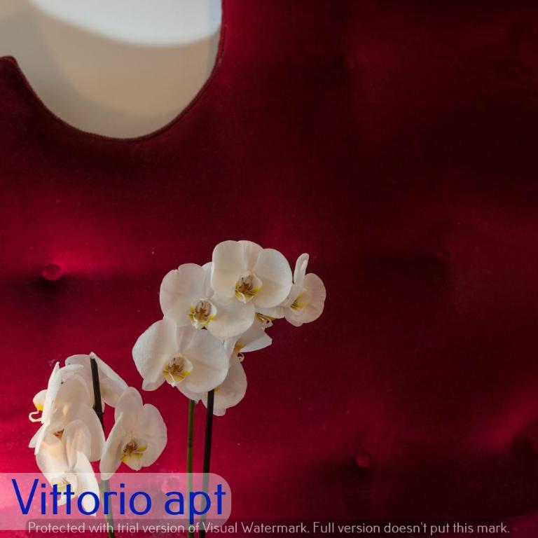 Corso Vittorio Apartments - Appartamento Deluxe - 12