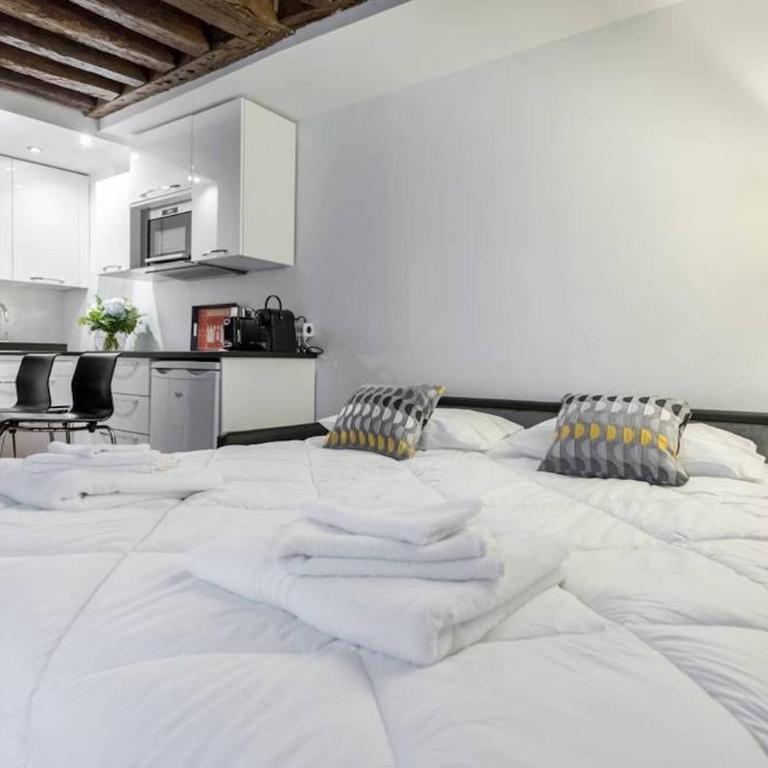 Historic Paris Apartment Steps from Notre Dame and Louvre - Limited Offer - Appartement 1 Chambre - Non-Fumeurs - 15
