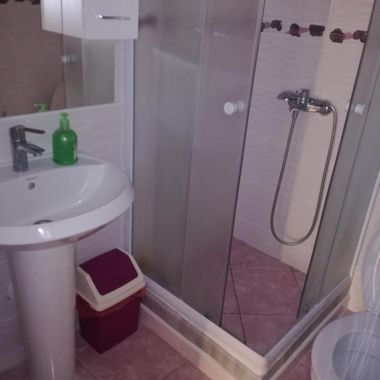 Apartments Stevanovic - Standard Twin Room with Shared Bathroom - 5