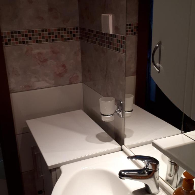 Apartment Blagojevic - Apartman sa Terasom - 14