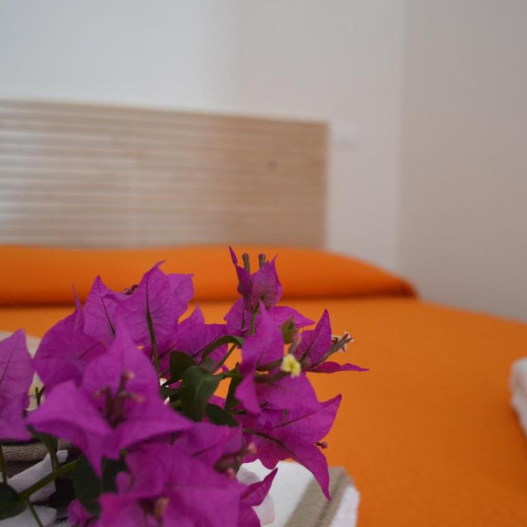 Horizon Pantelleria - Camera Matrimoniale Standard - 1