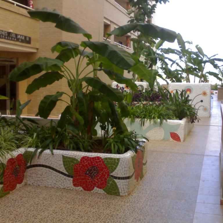 Bajo Apart ideal familias Jardines del Mar II - Apartamento - 25