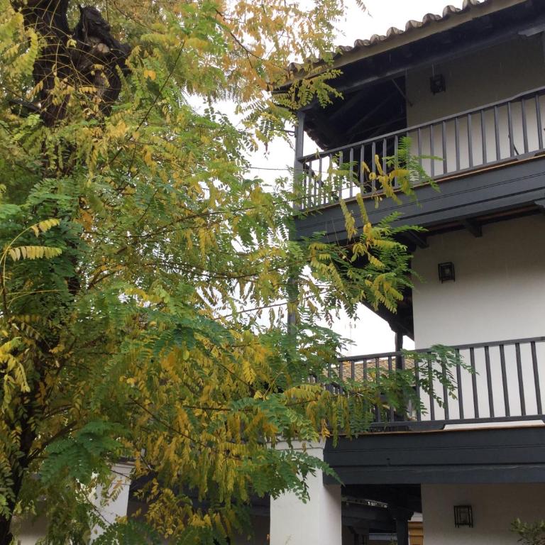 Andalusian Courtyard - Apartamento con vistas al jardín - 37