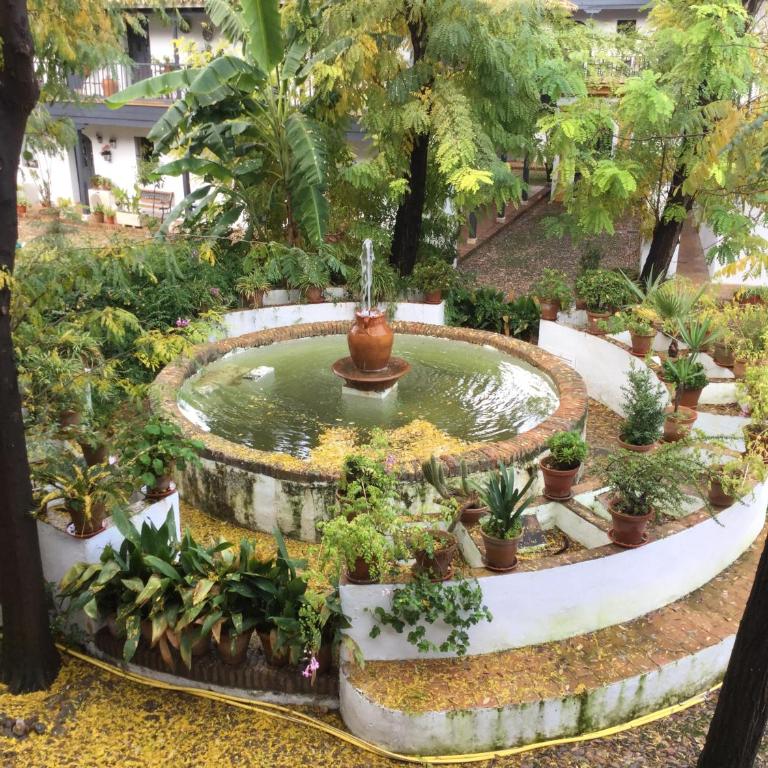 Andalusian Courtyard - Apartamento con vistas al jardín - 35