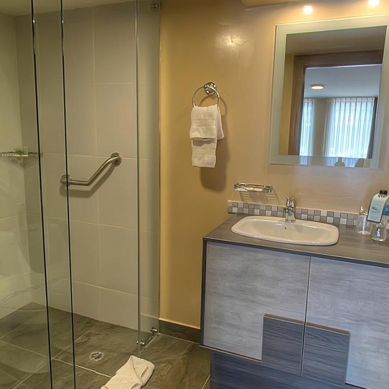 Fenix Hotel - Habitación Doble Estándar - 2 camas - 7