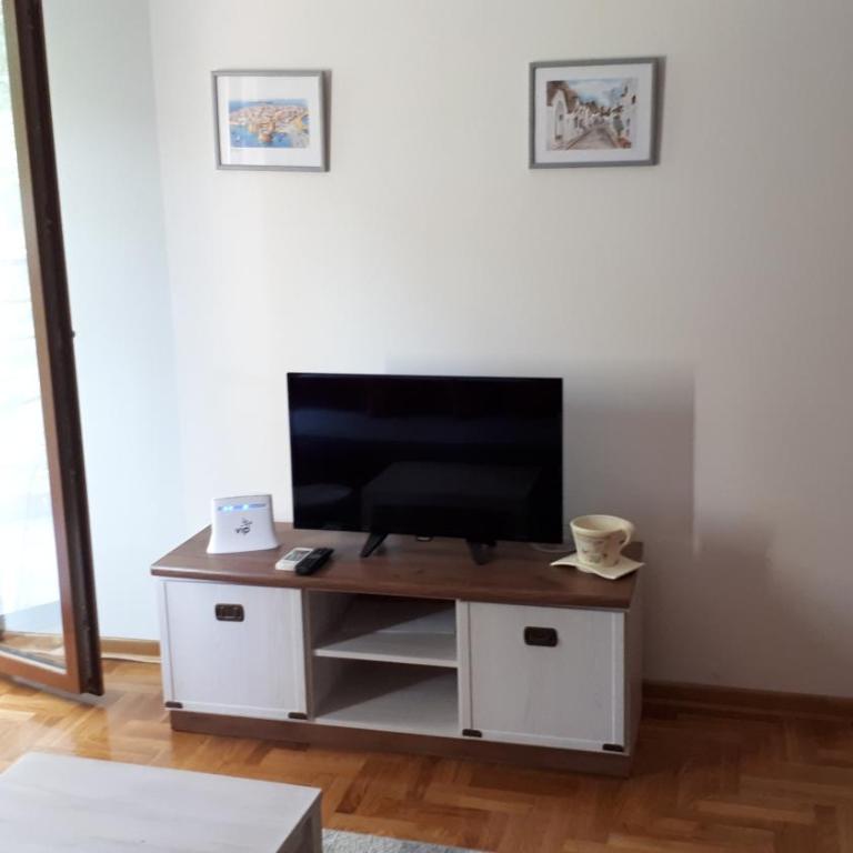 Apartment Blagojevic - Apartman sa Terasom - 3