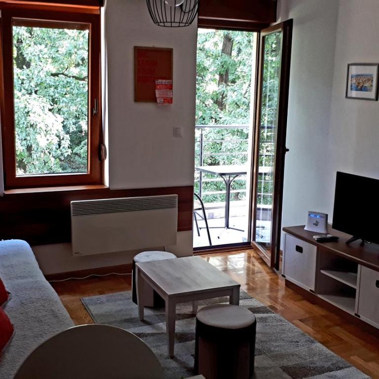 Apartment Blagojevic - Apartman sa Terasom - 1