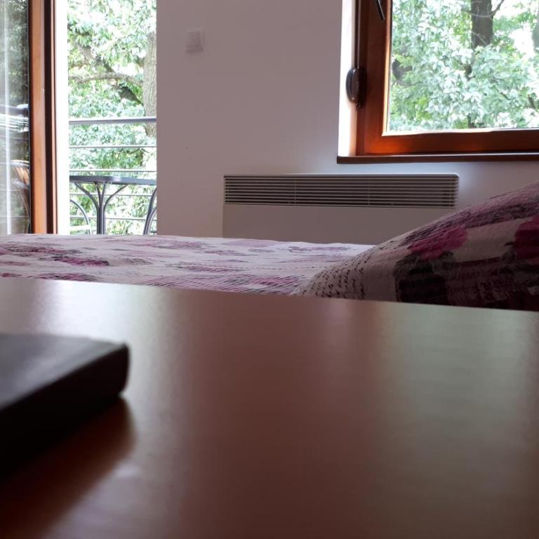 Apartment Blagojevic - Apartman sa Terasom - 6