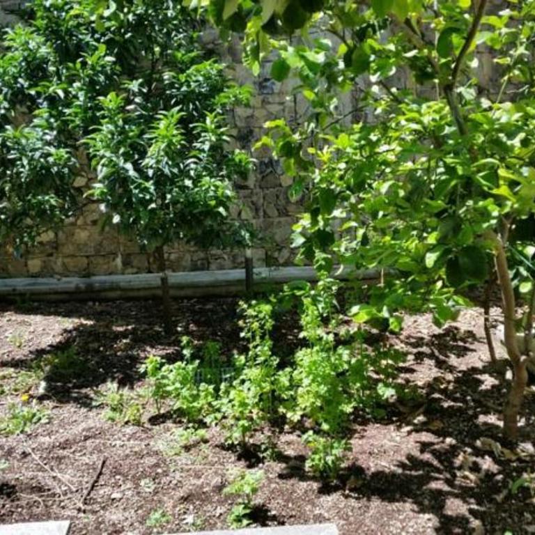 Casa al Prino con Giardino e box - Appartamento - 6