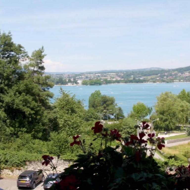 Hotel des Marquisats - Habitación Doble Superior con balcón y vistas al lago - 3