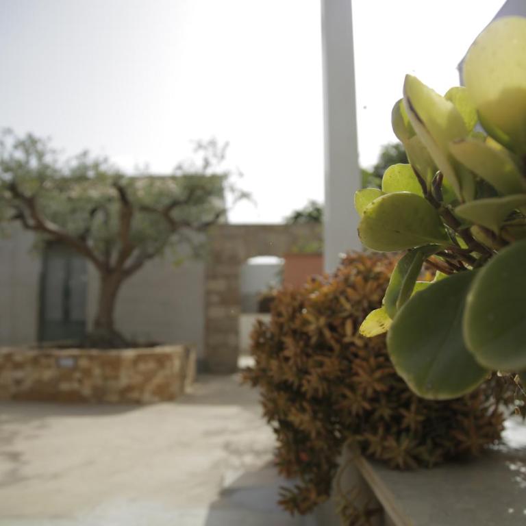 Antico Casale sul Mare - Casa Vacanze - 22