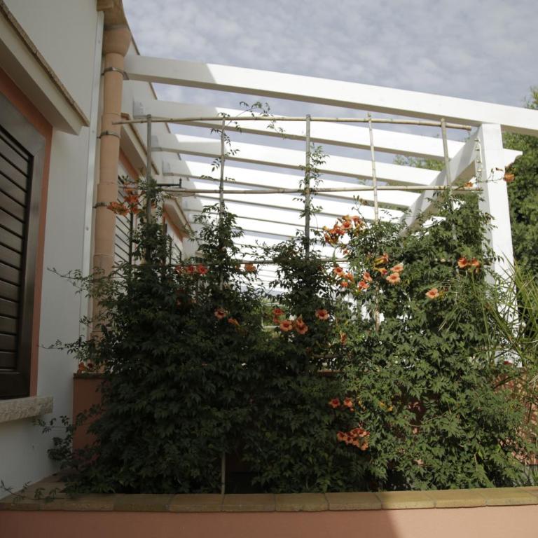 Antico Casale sul Mare - Casa Vacanze - 26