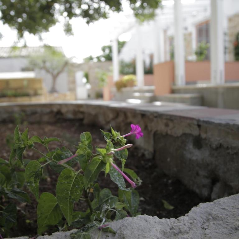 Antico Casale sul Mare - Casa Vacanze - 7