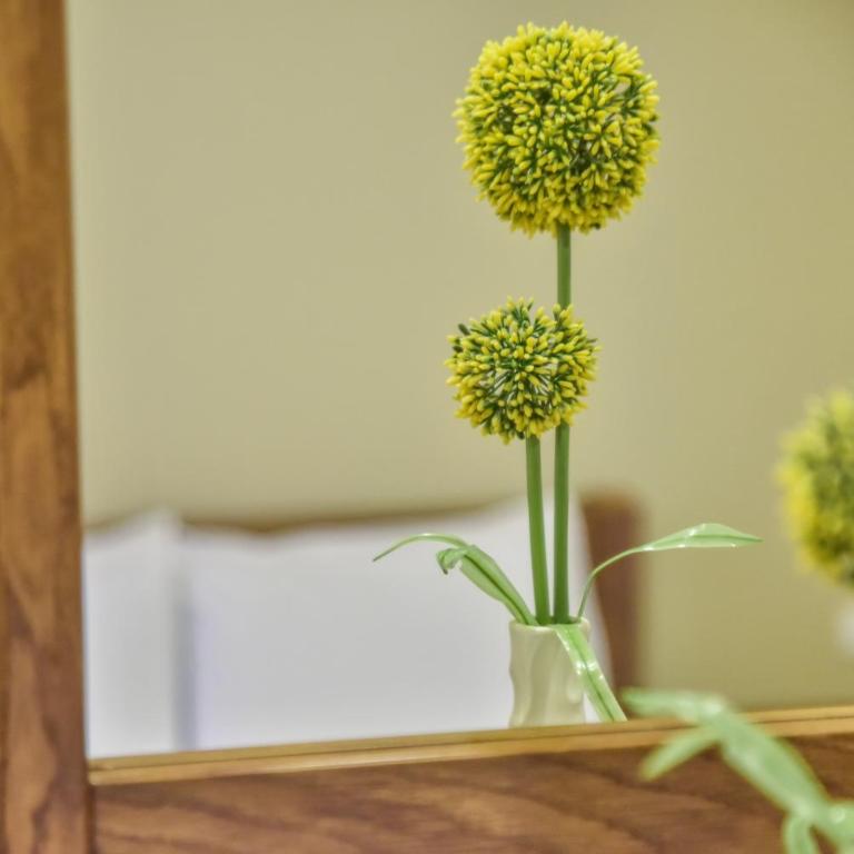 Hotel Prova - Family Suite - 6