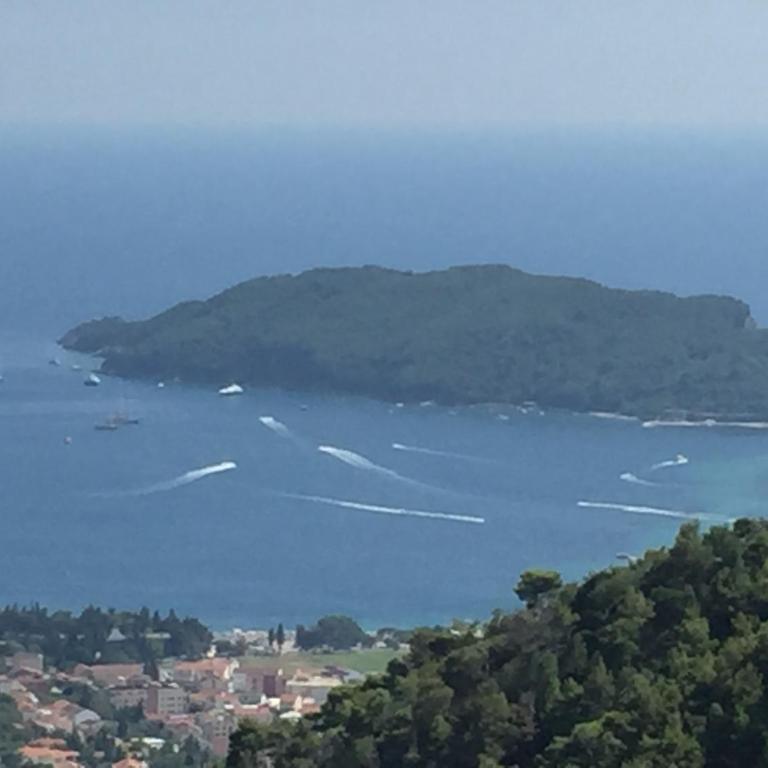 Apartments Bonaca - Vila sa Sopstvenim Bazenom - 2