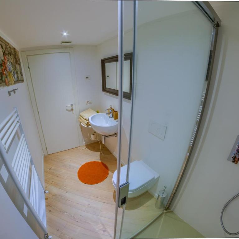 VILLA VINICIA, pool, jacuzzi, airco - Appartamento Deluxe - 13
