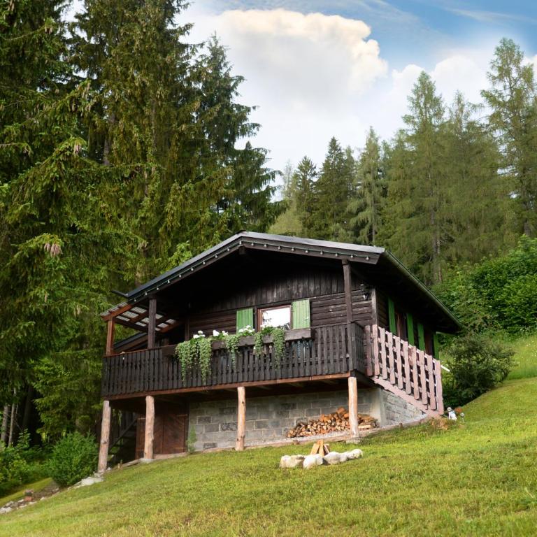 Schwammerlhütte - Ferienhaus - 3