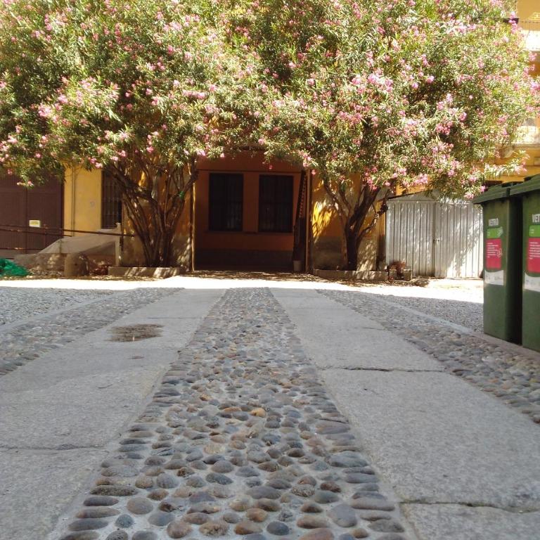Kibilù - Viale Bligny - Porta Romana - Università Bocconi - Appartamento Superior - 28