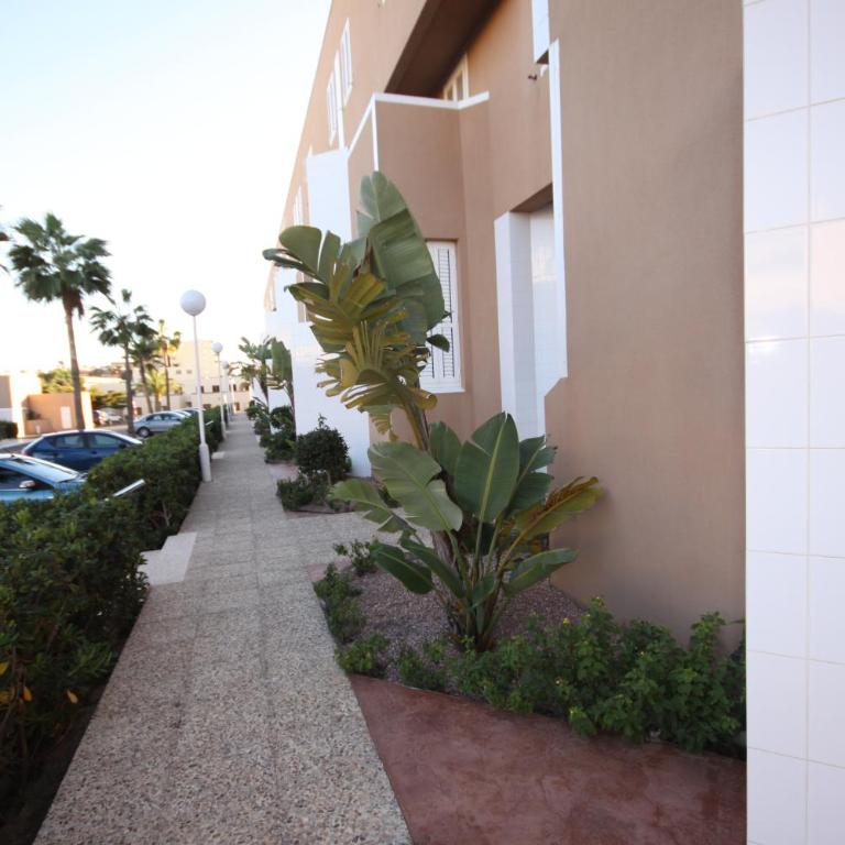 Inmovecos amplio y con vistas al mar Soling 103 - Apartamento con vistas al mar - 45