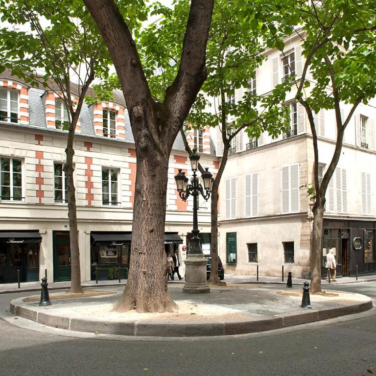 Paris 5e entre Notre Dame & Pantheon - Appartement - 31