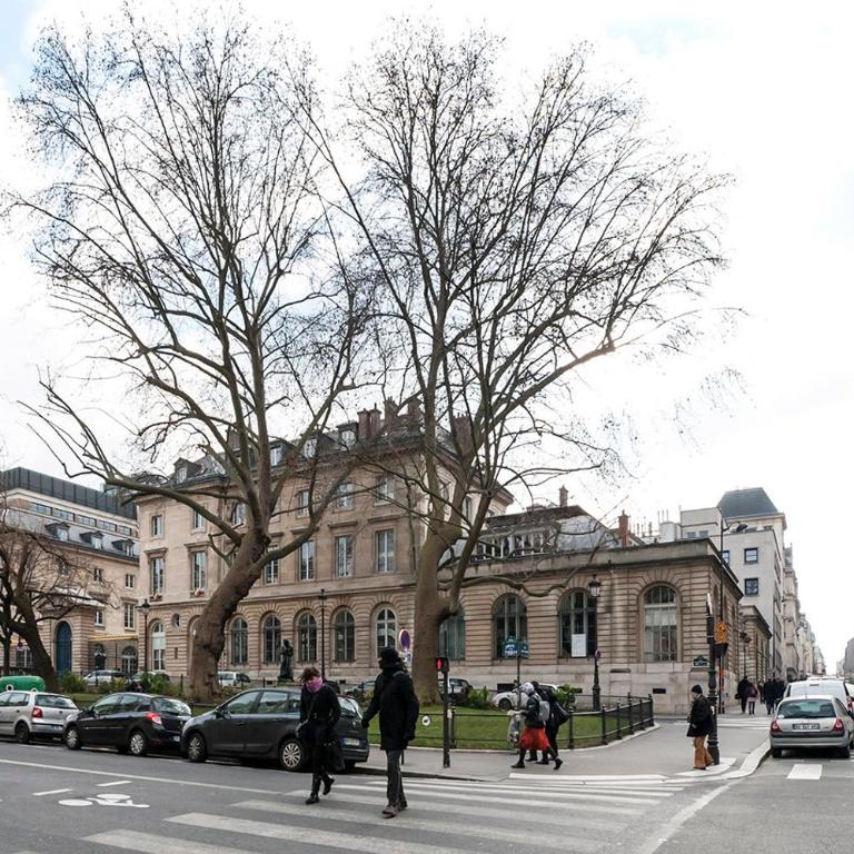 Paris 5e entre Notre Dame & Pantheon - Appartement - 43