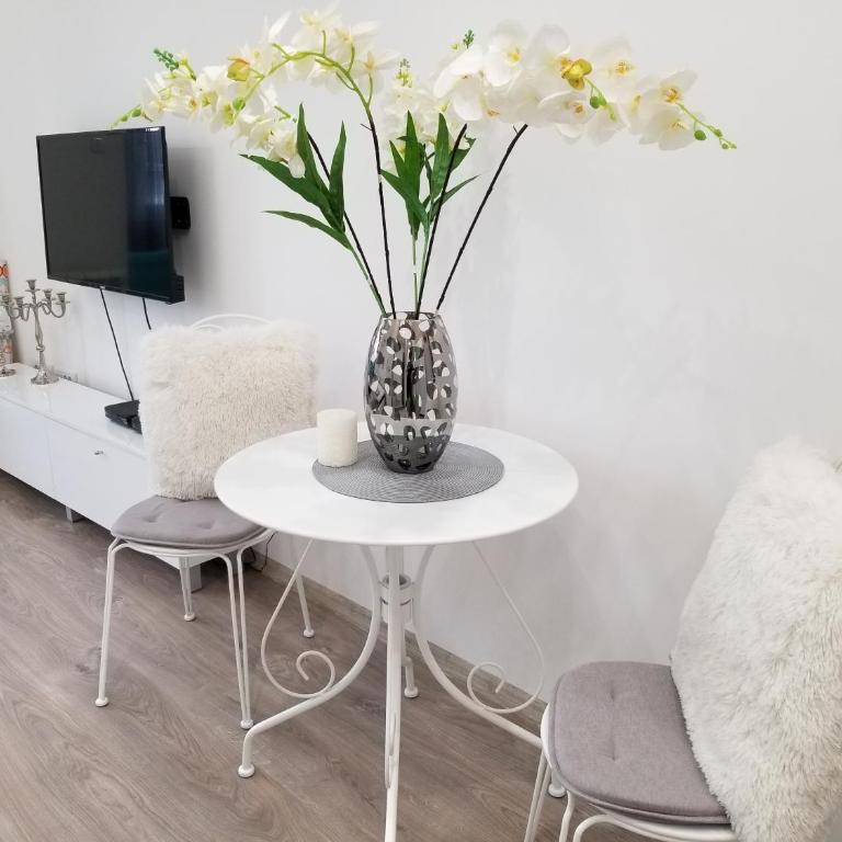 Studio Angel stan na dan Novi Sad - Studio Apartman - 19