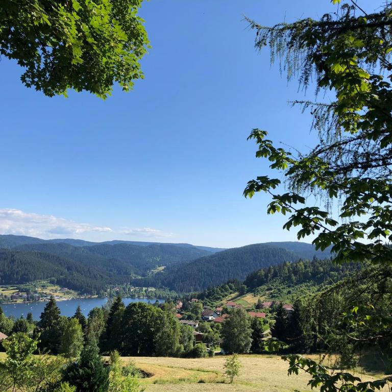 Gerardmer : Residence "l'eau vive" - Appartement - 17