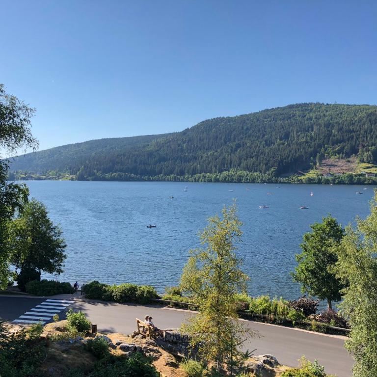 Gerardmer : Residence "l'eau vive" - Appartement - 16