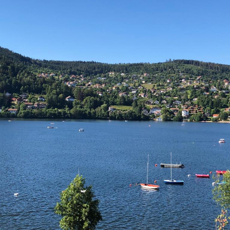 Gerardmer : Residence "l'eau vive" - Appartement - 15