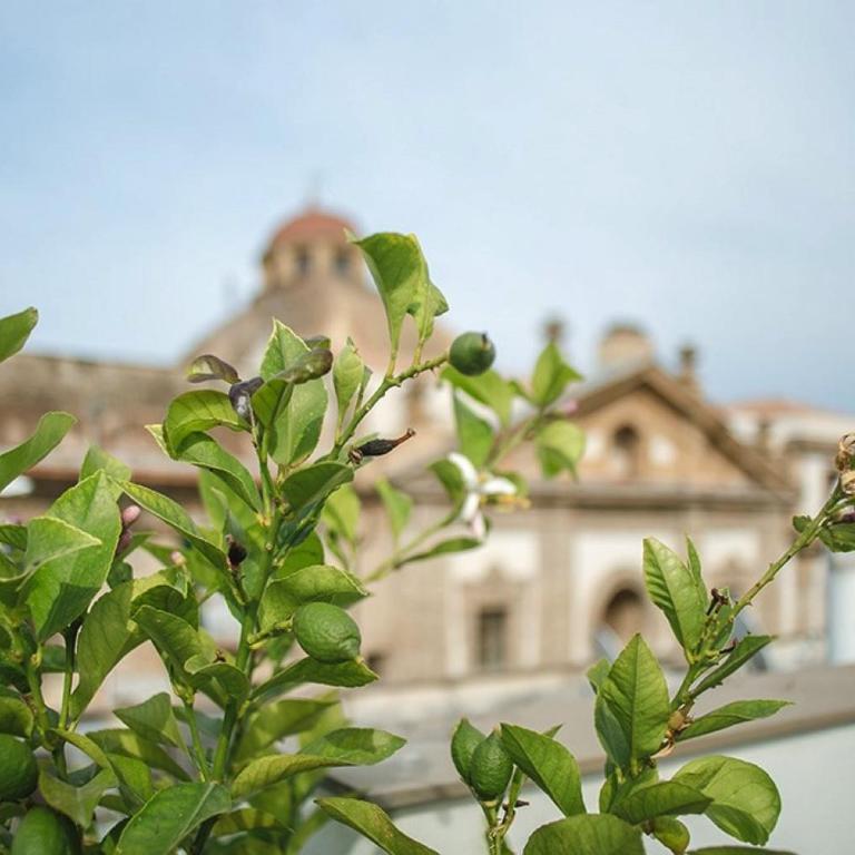 Kalsa Casa di Charme con terrazza by Wonderful Italy - Appartamento Deluxe - 23