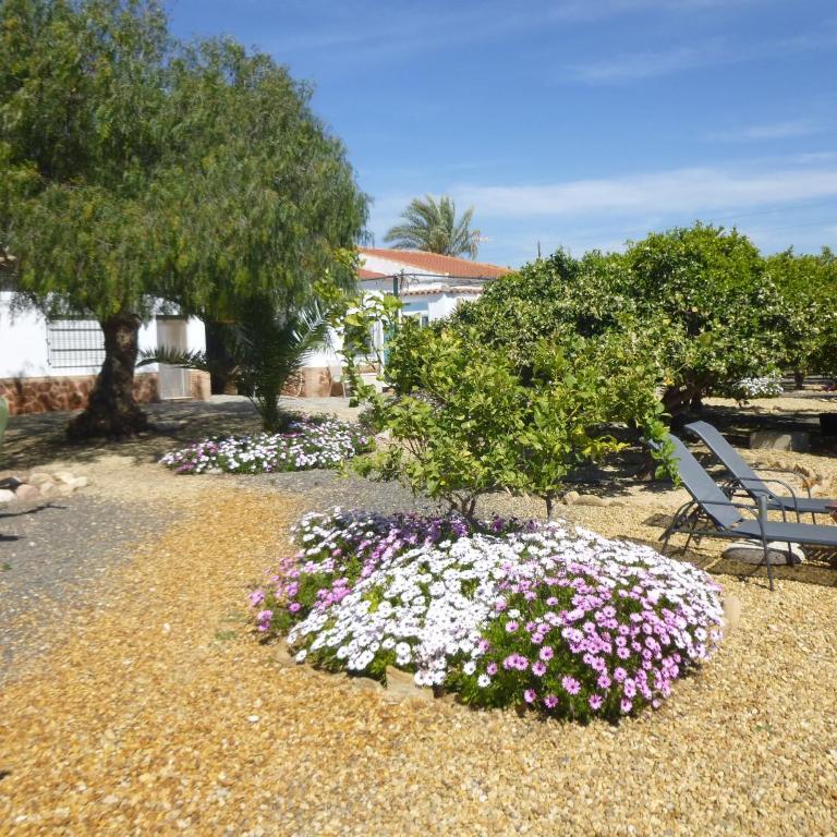 Finca Arboleda - Casa de 2 dormitorios - 17