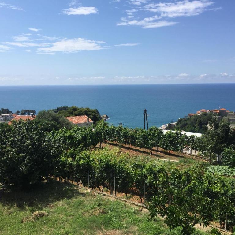 Poborska Villa - Villa with Sea View - 25