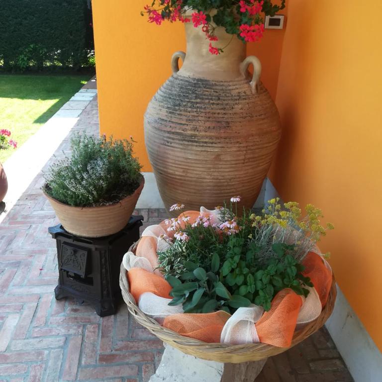 Orange House La Brigata Apartments - Casa Vacanze - 4