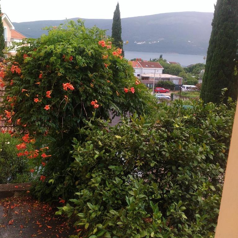 Sobe Baosici Marina - Double Room with Balcony and Sea View - 5